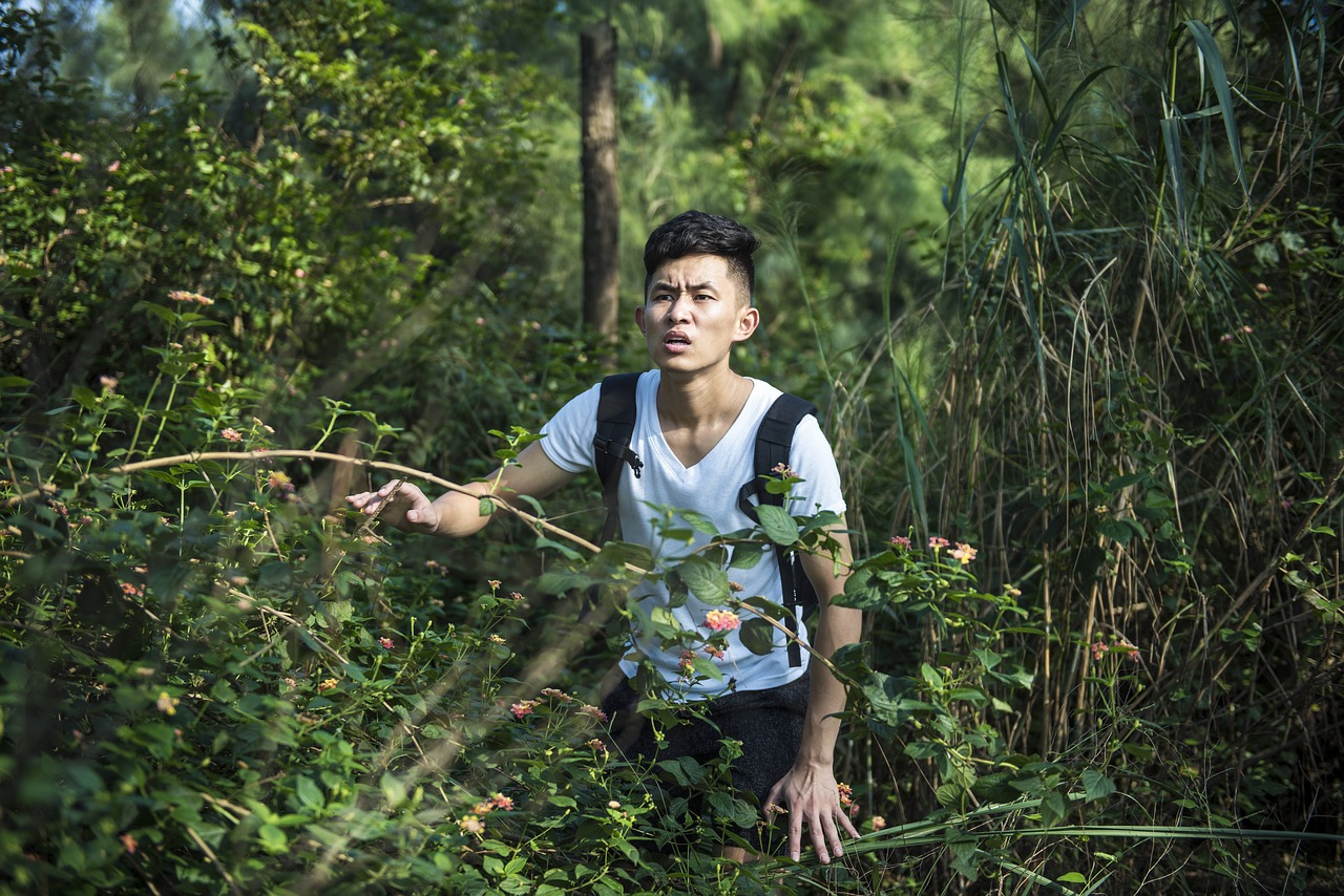 Image - the wild forest get lost schoolboy