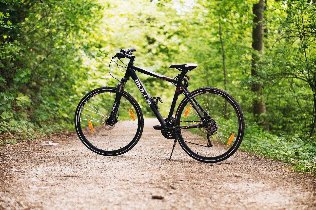 Image - bicycle bike forest mountain bike