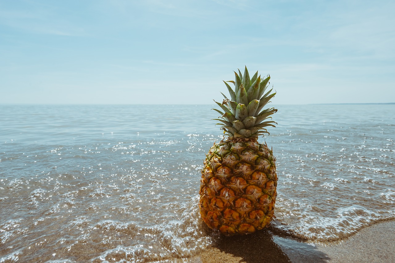 Image - beach coast fruit ocean pineapple