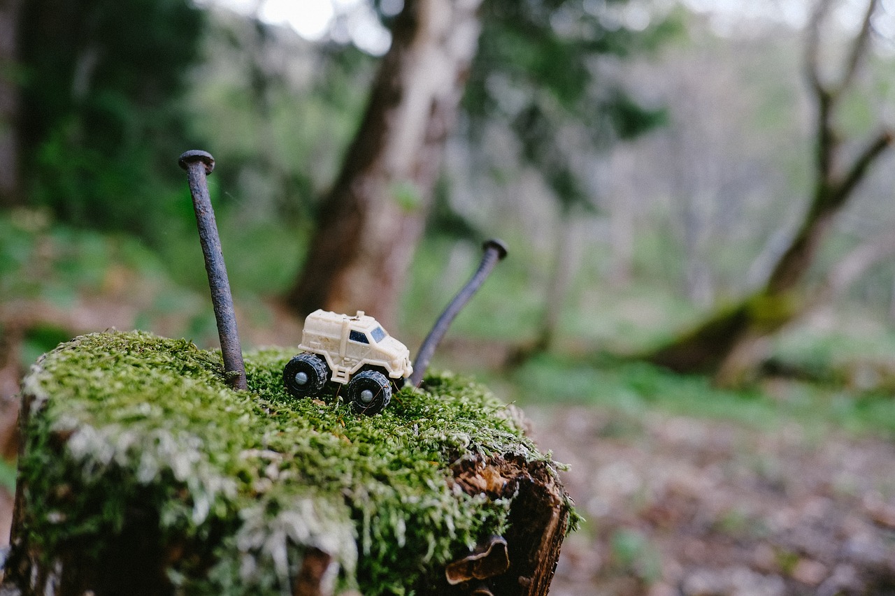 Image - forest toy truck