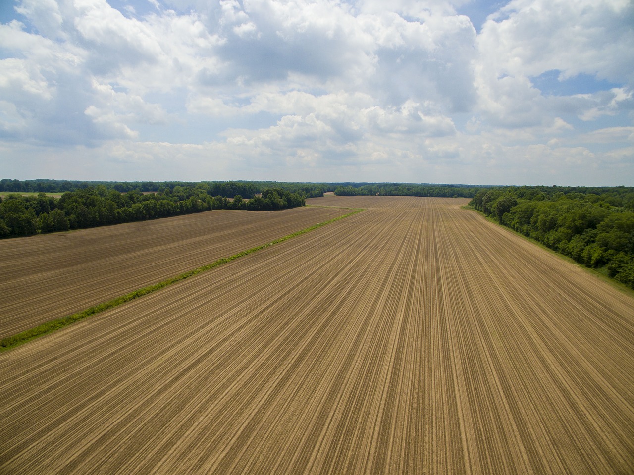 Image - dirt farm field nature rows trees