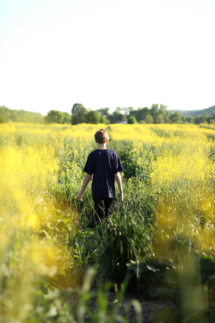 Image - boy countryside field flora