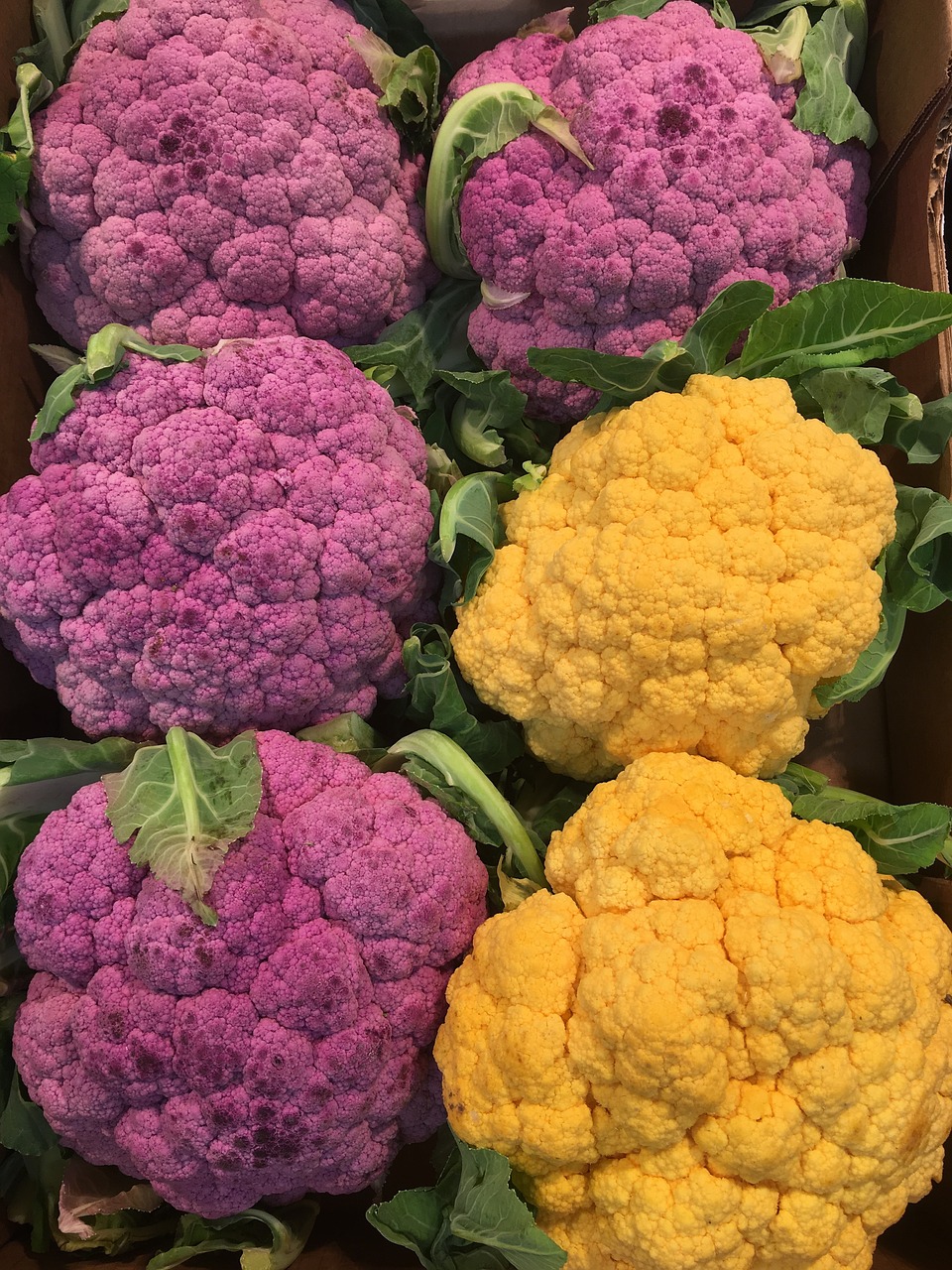 Image - cavoli viola cauliflower flower