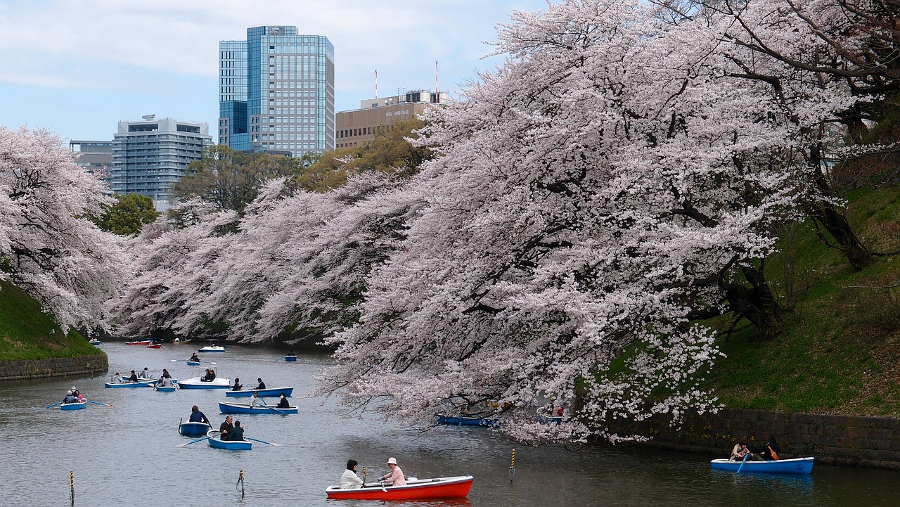 Image - boat cherry blossom park river
