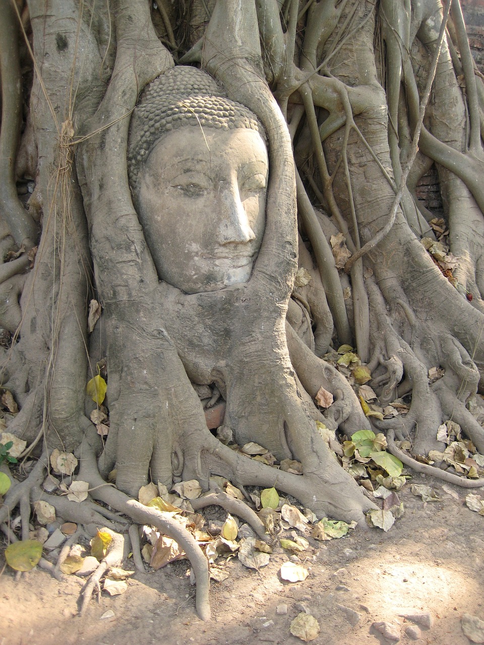 Image - ancient asia brown buddha thailand