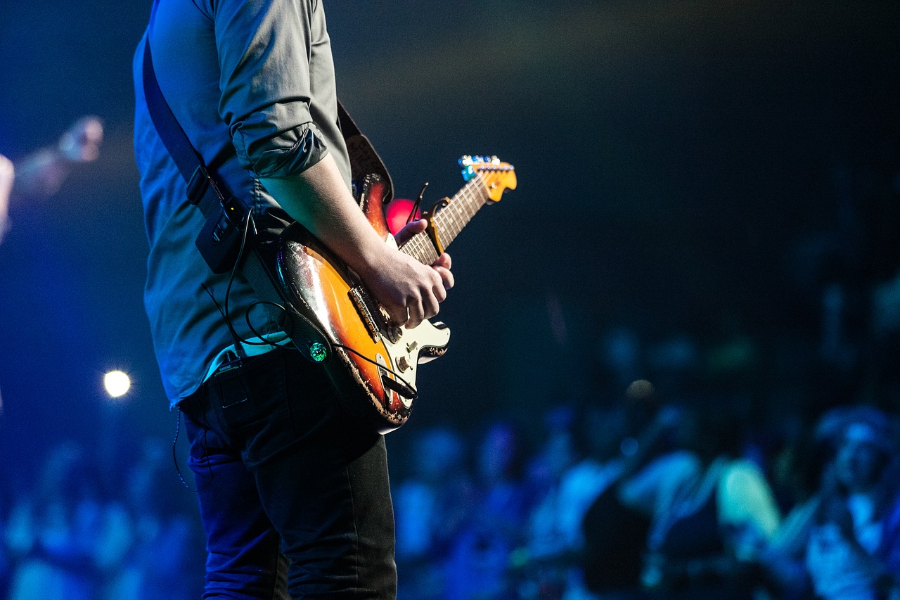 Image - audience concert guitar guitarist