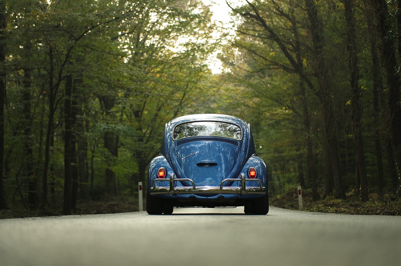 Image - car classic car forest outdoors