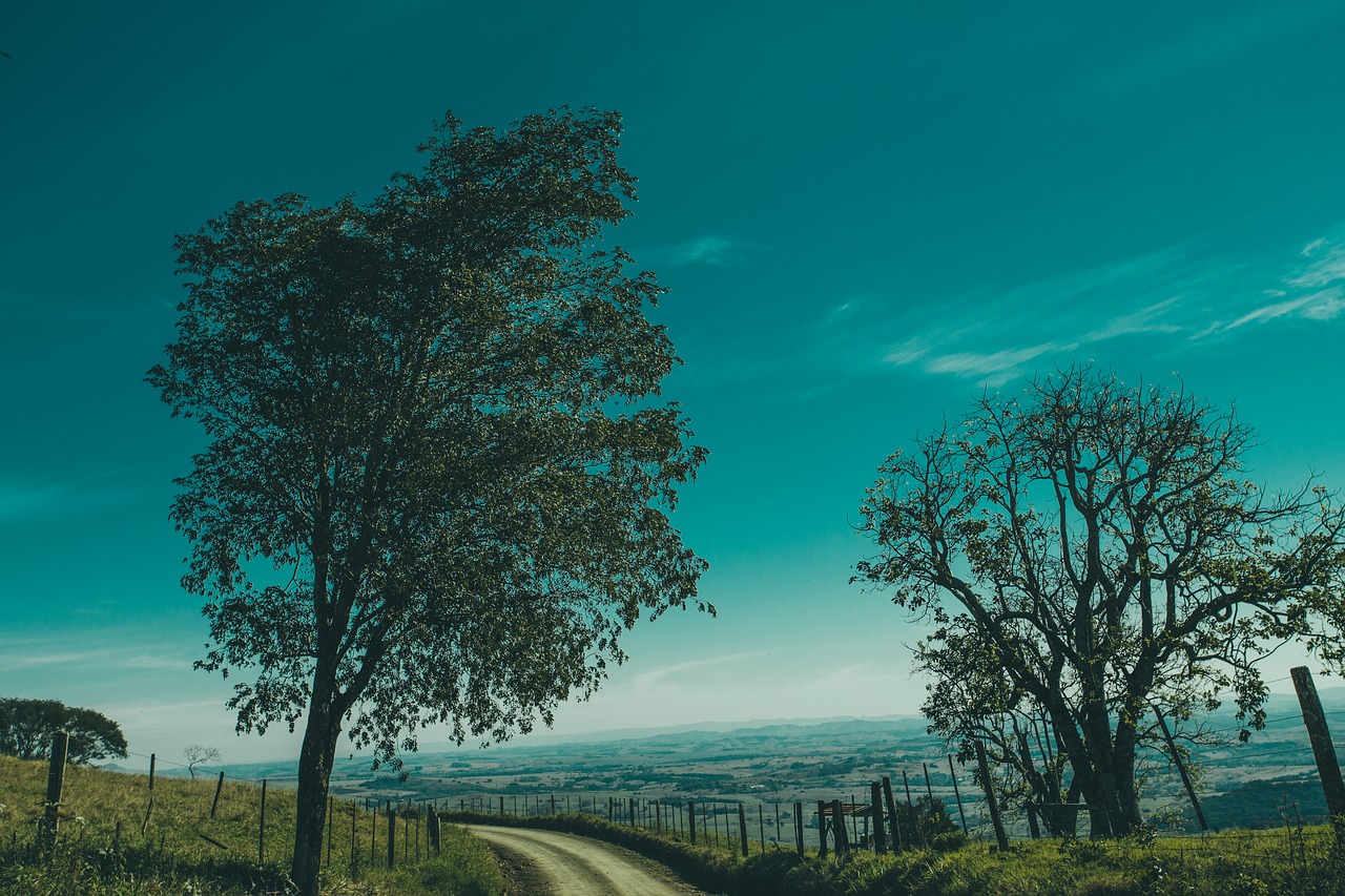 Image - countryside dirt road grass