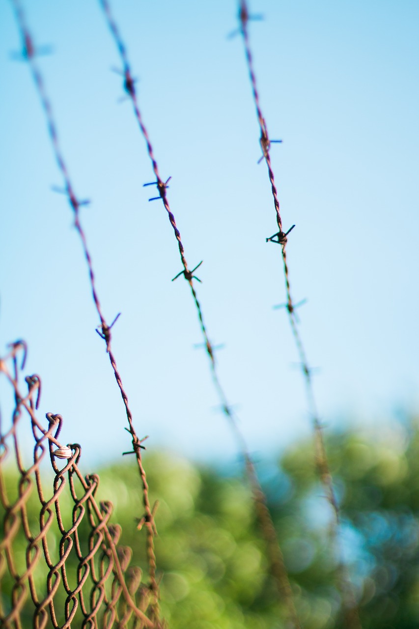 Image - barb wires barbed wires fence