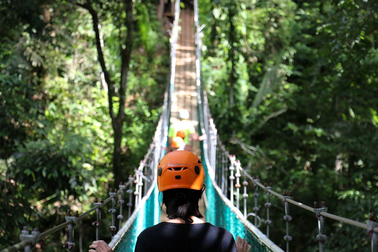 Image - adventure bridge forest outdoors