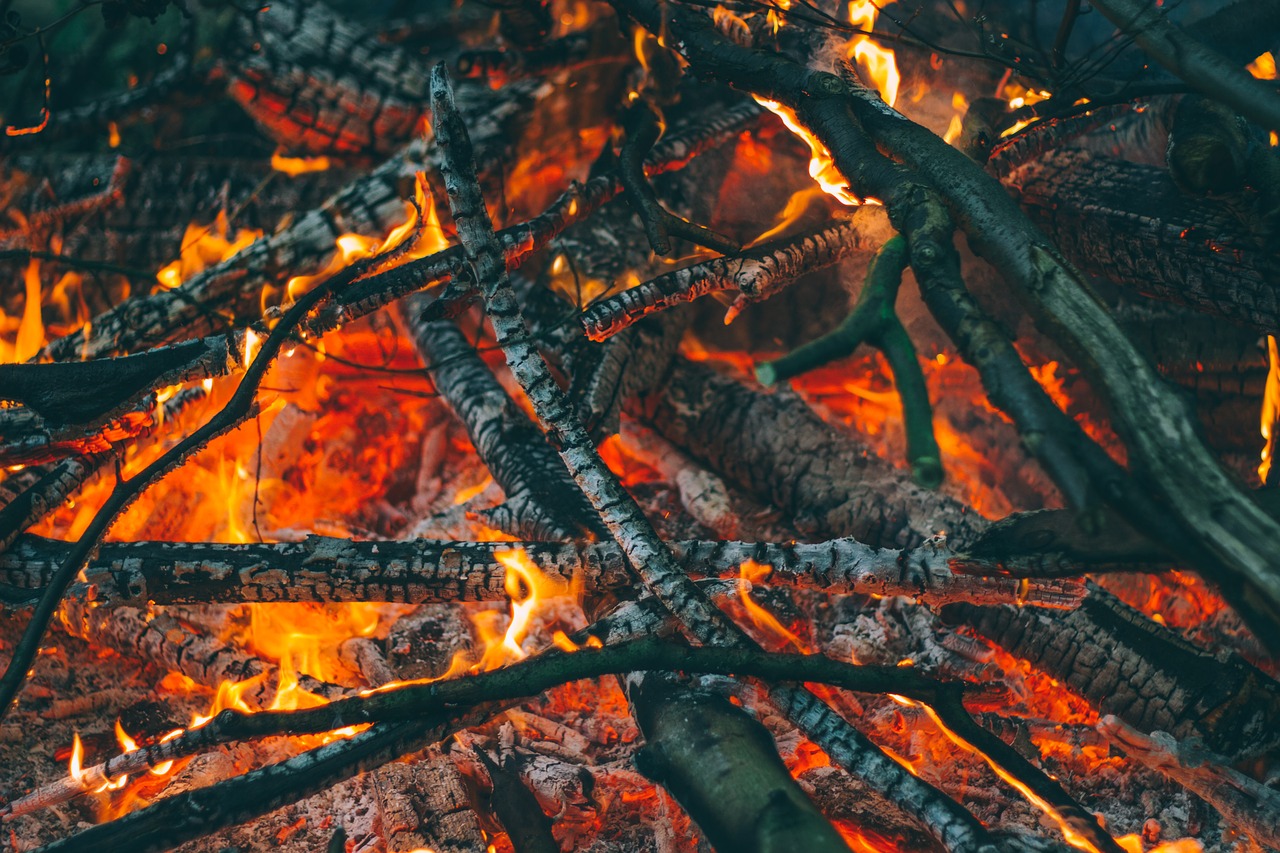 Image - ash bonfire burn burning campfire