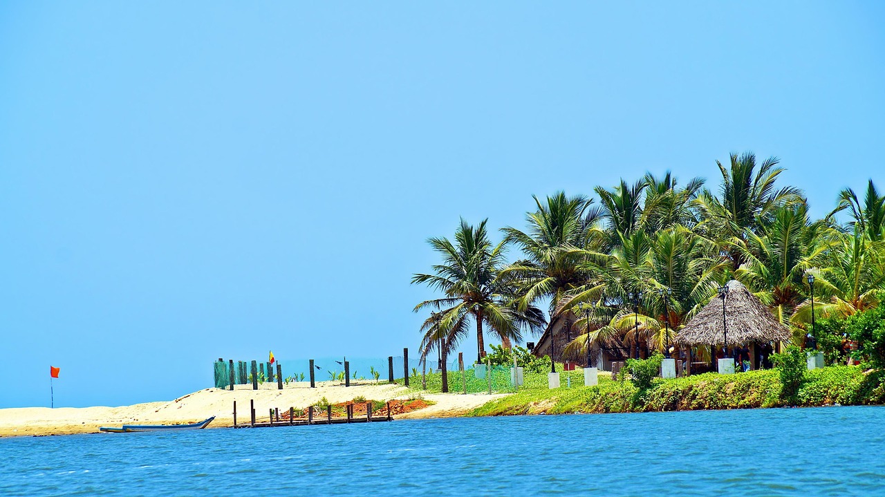 Image - beach coconut tree paradise