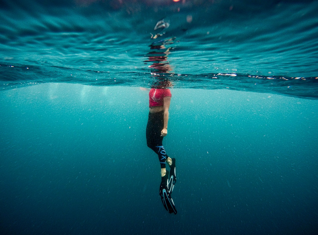 Image - flippers ocean person sea swimming