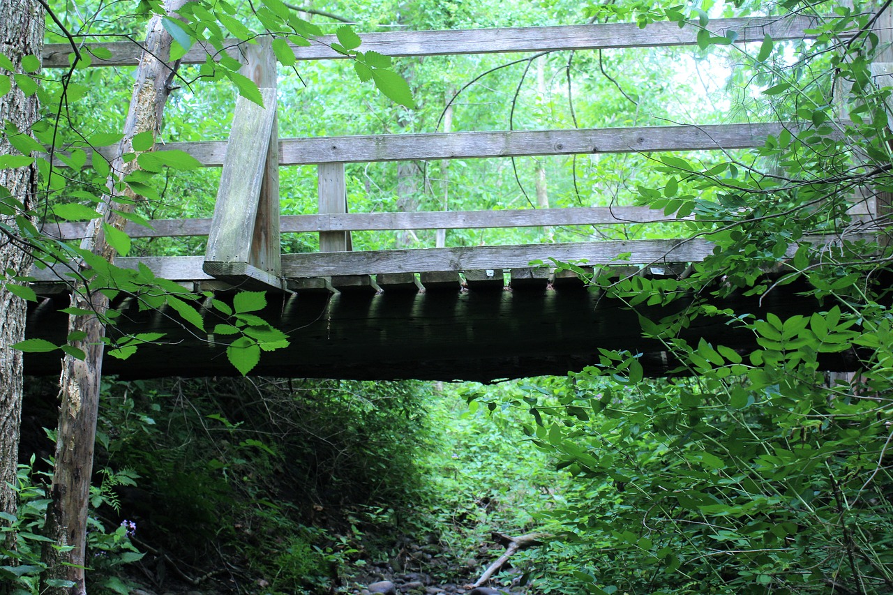 Image - old bridge water wooden bridge