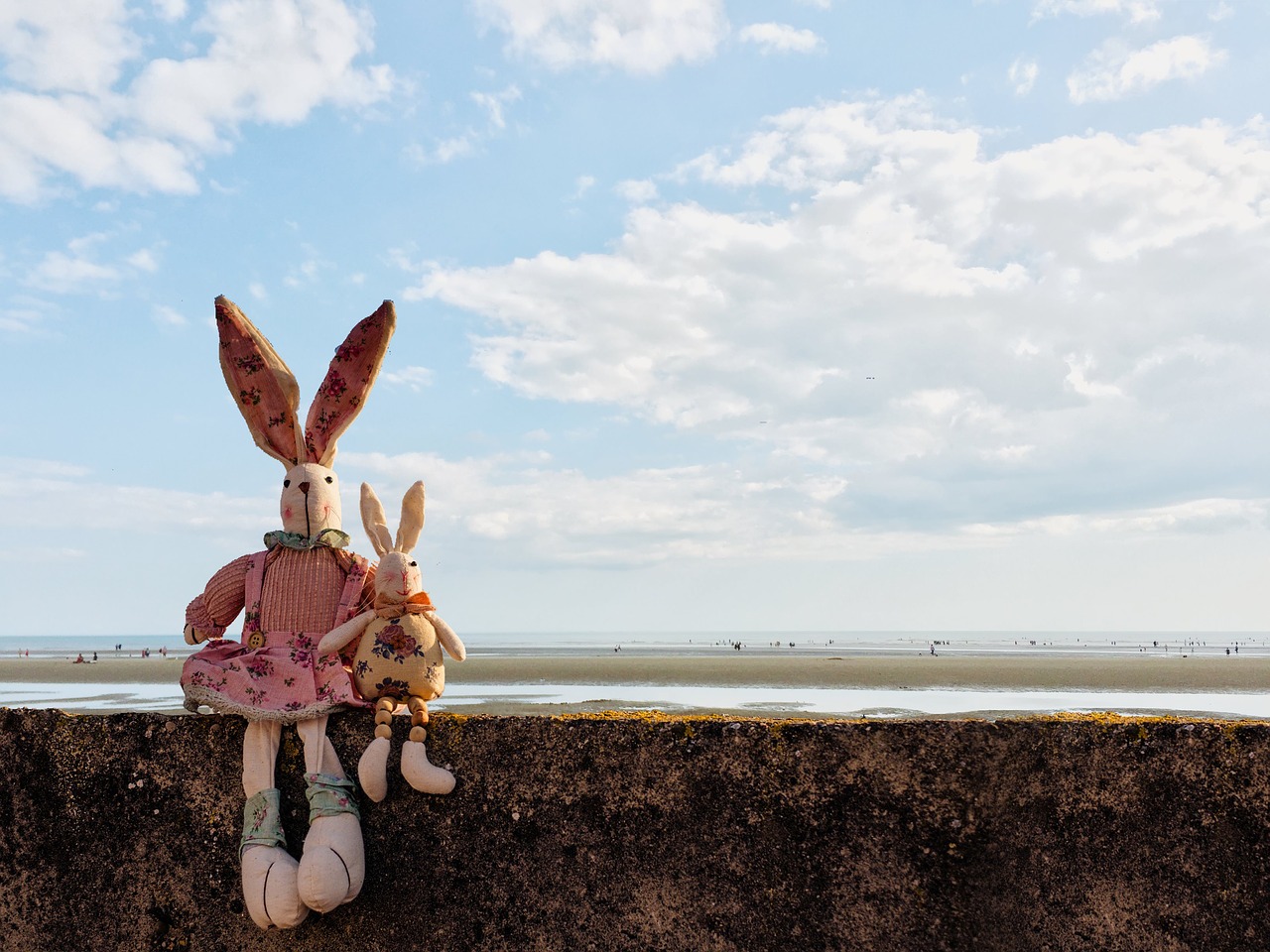 Image - rabbits clouds wall beach easter