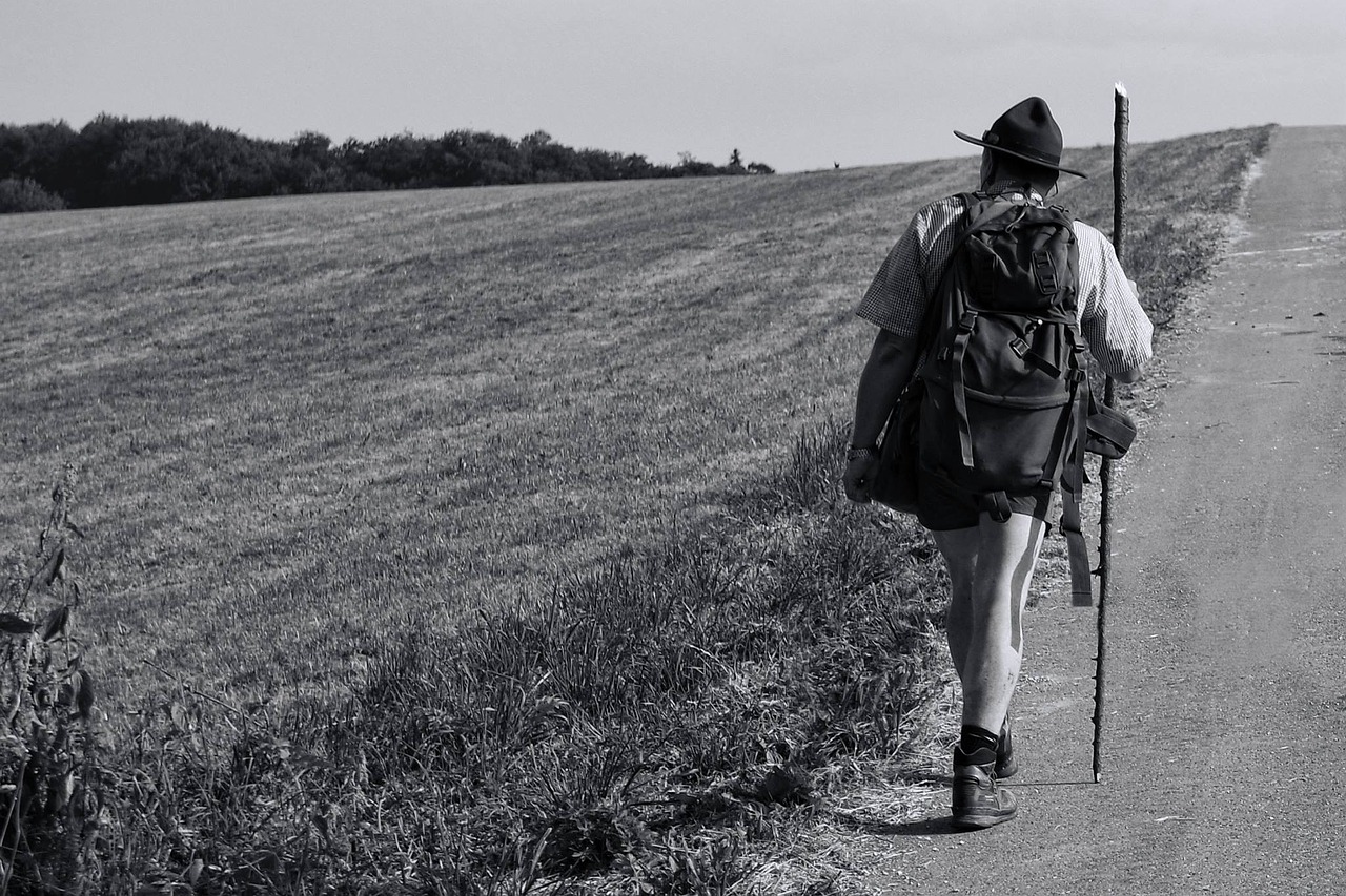 Image - black white summer walking