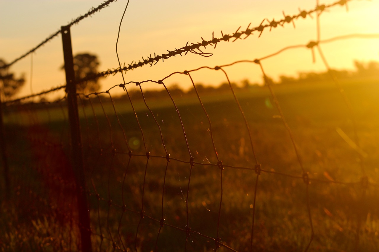 Image - barbed wire fence wire mesh