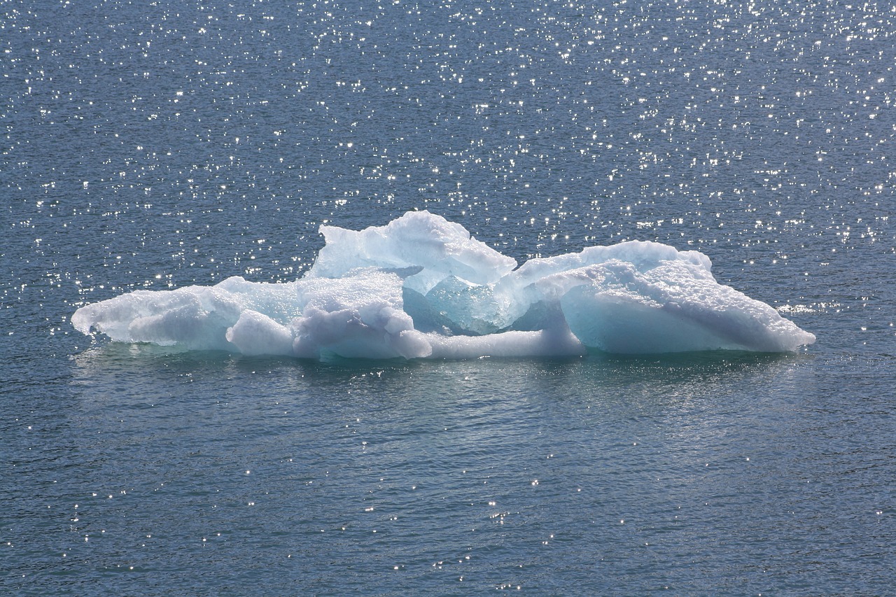 Image - ice floe sea arctic iceberg