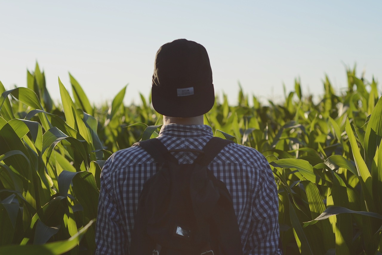 Image - backpack field man person sky