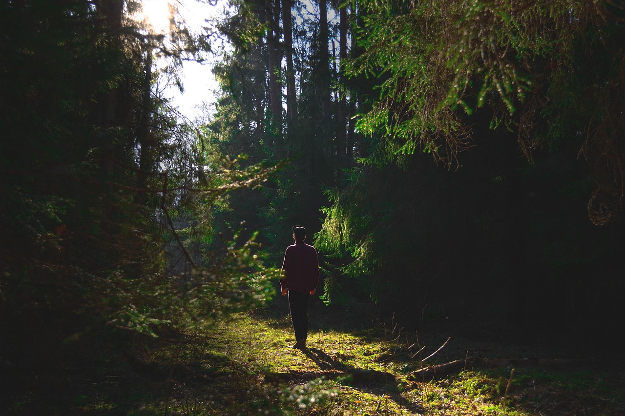 Image - forest man nature outdoors person