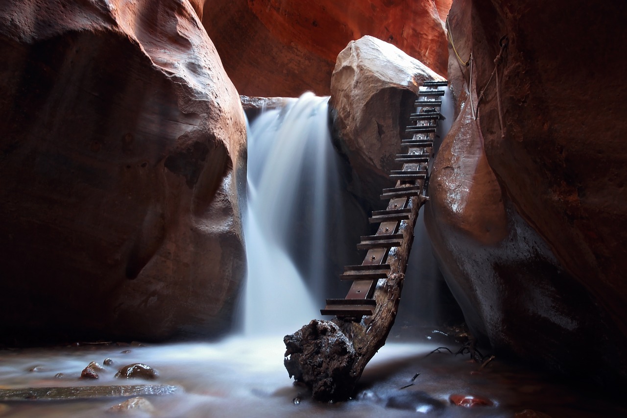 Image - branch cave ladder motion nature