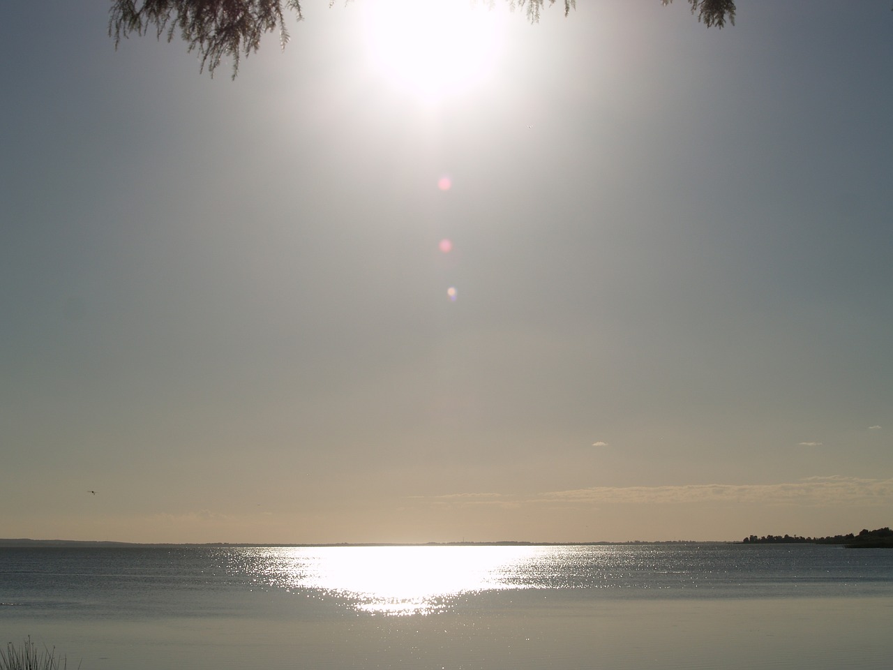 Image - evening sun lakeside shore