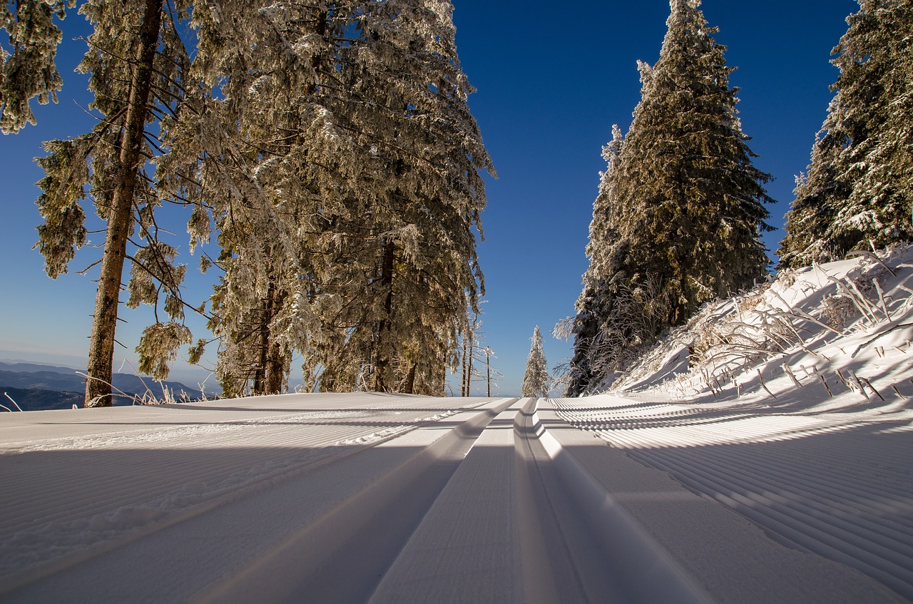Image - cross country ski trail snow winter