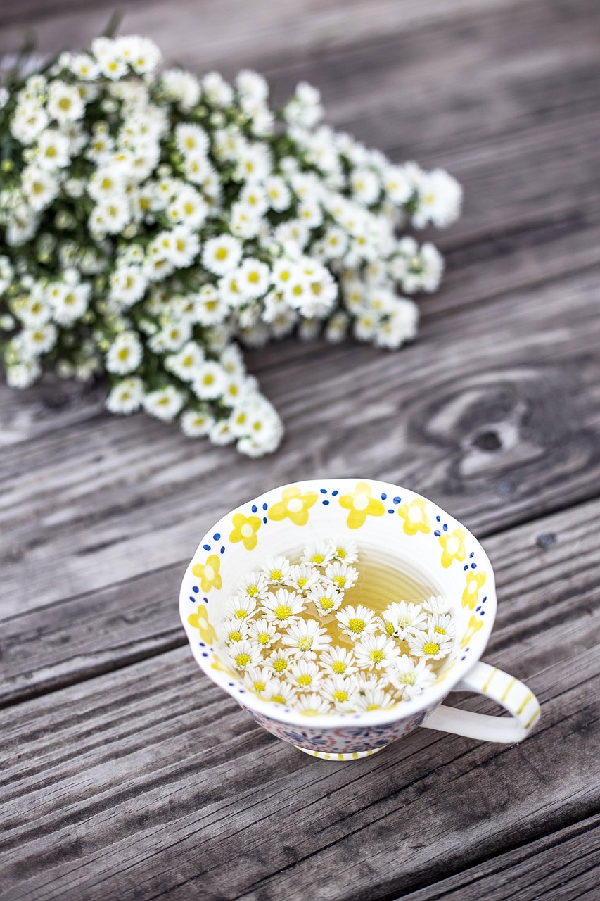 Image - bloom blossom chamomile cup flora
