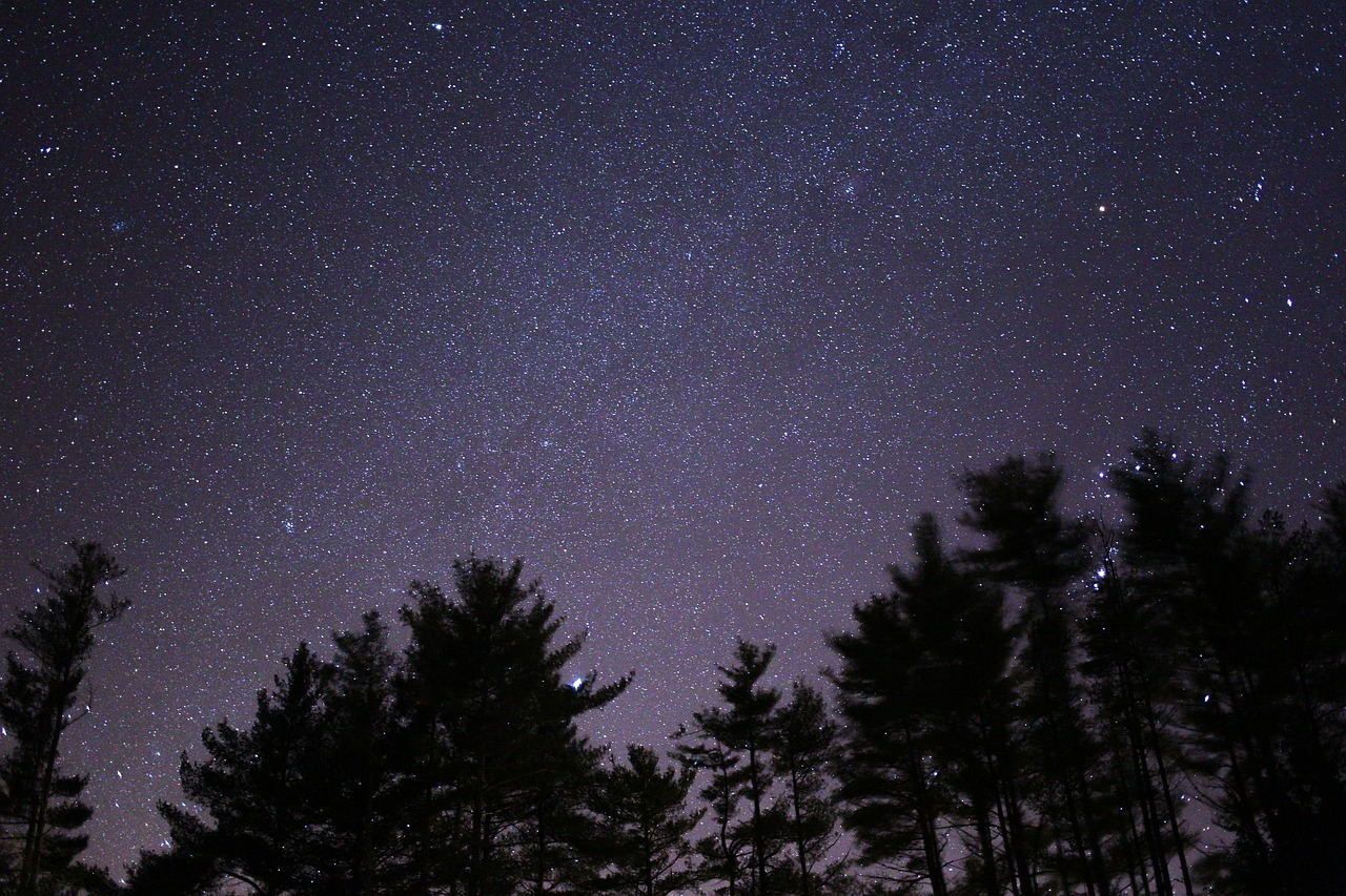 Image - dark nature night silhouette sky