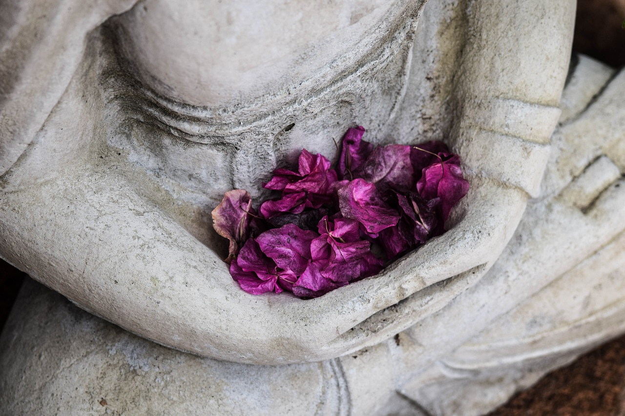 Image - art dried petals flowers sculpture