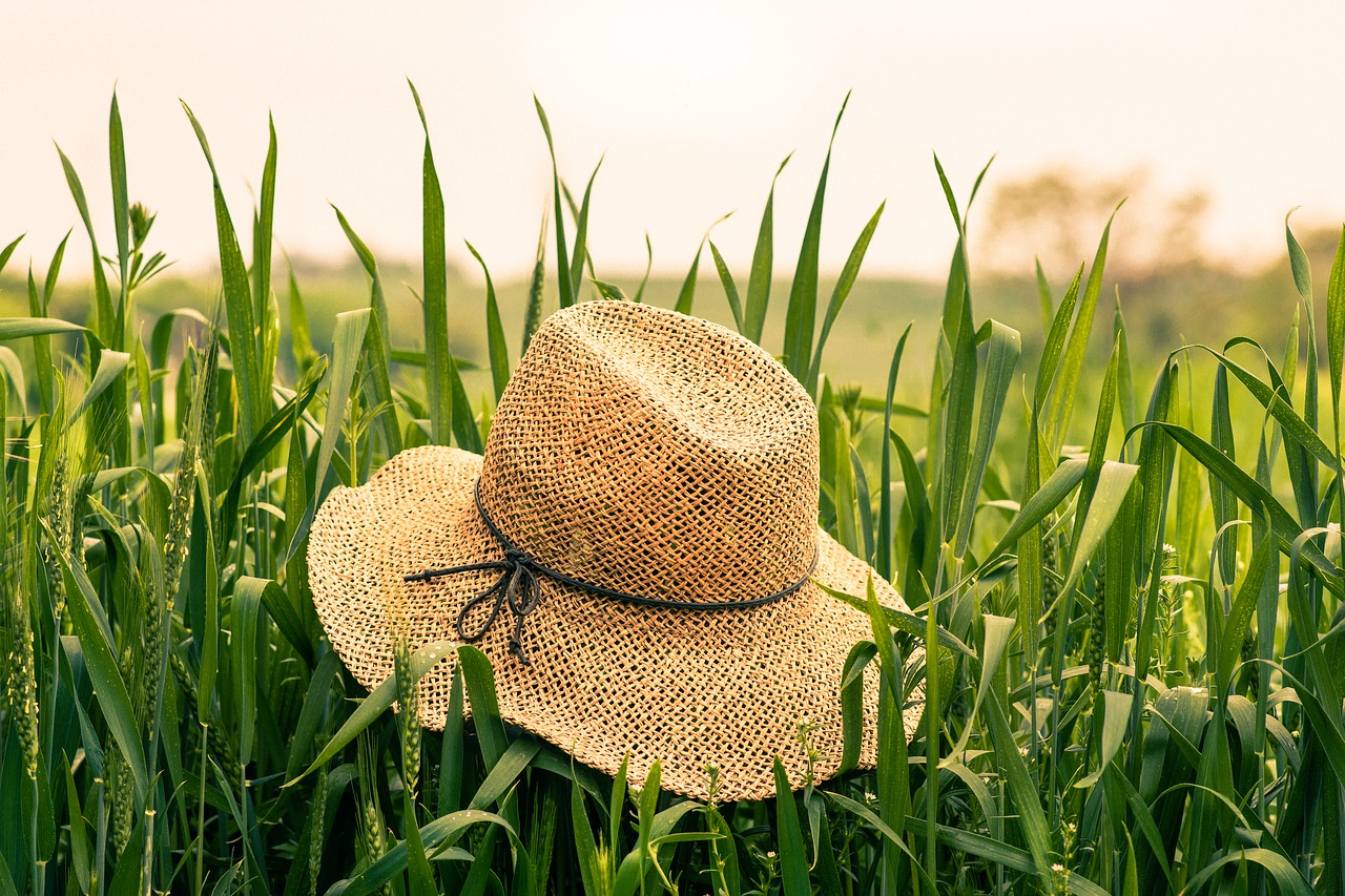 Image - farm field grain green hat