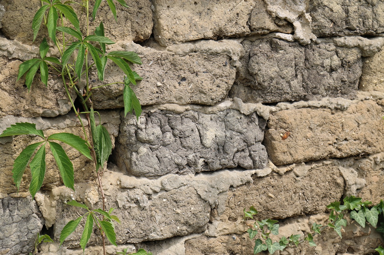 Image - brick green leaf old plants