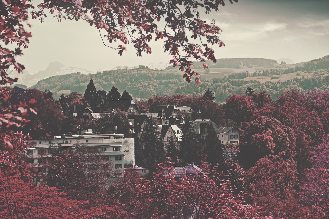 Image - buildings mountains trees village