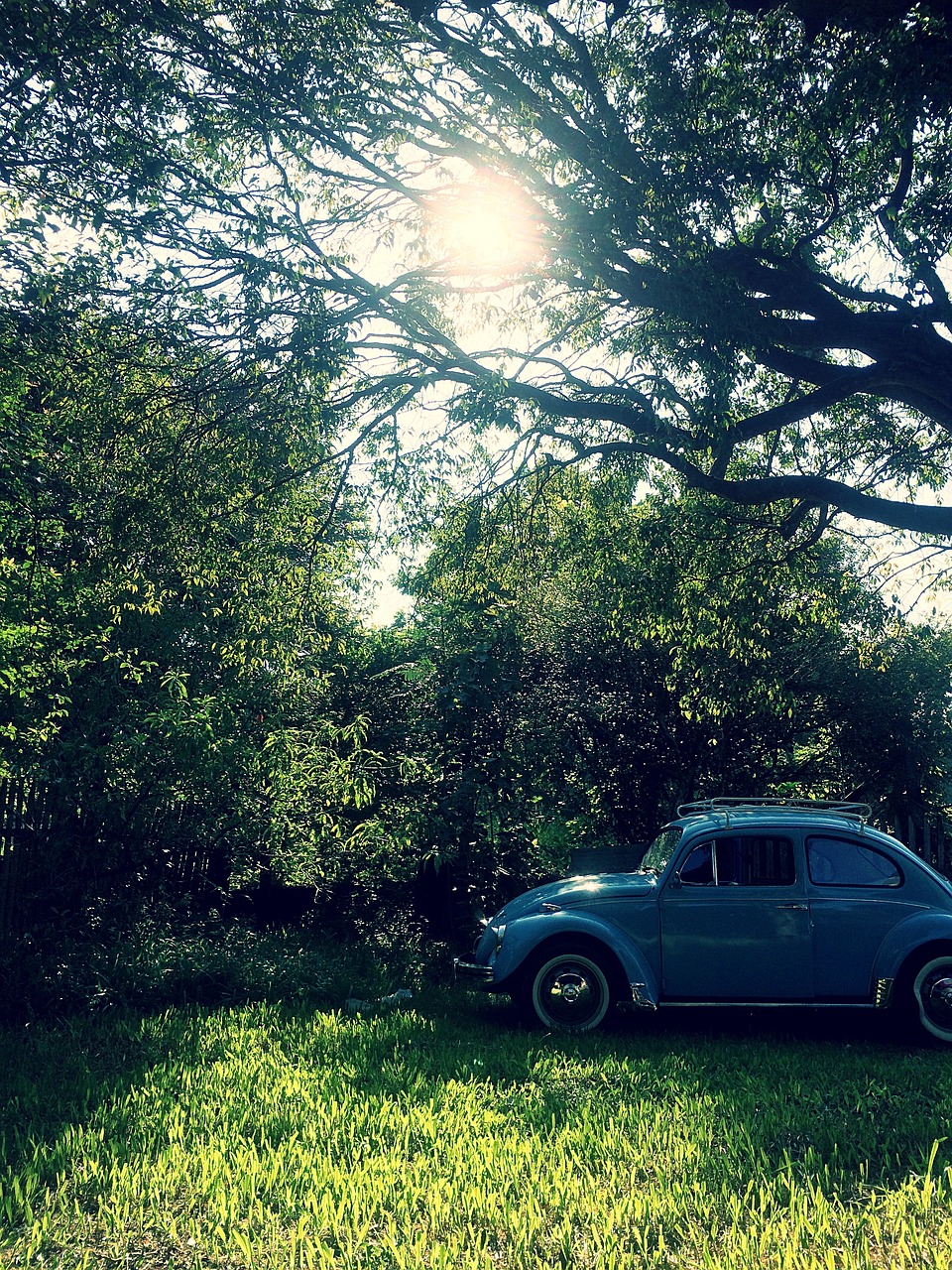 Image - blue car classic lights nature