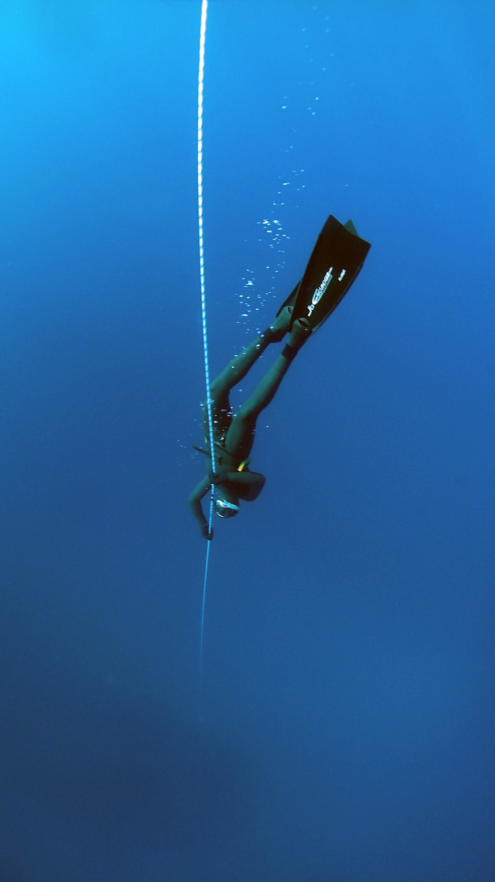 Image - blue deep diving deep ocean dive