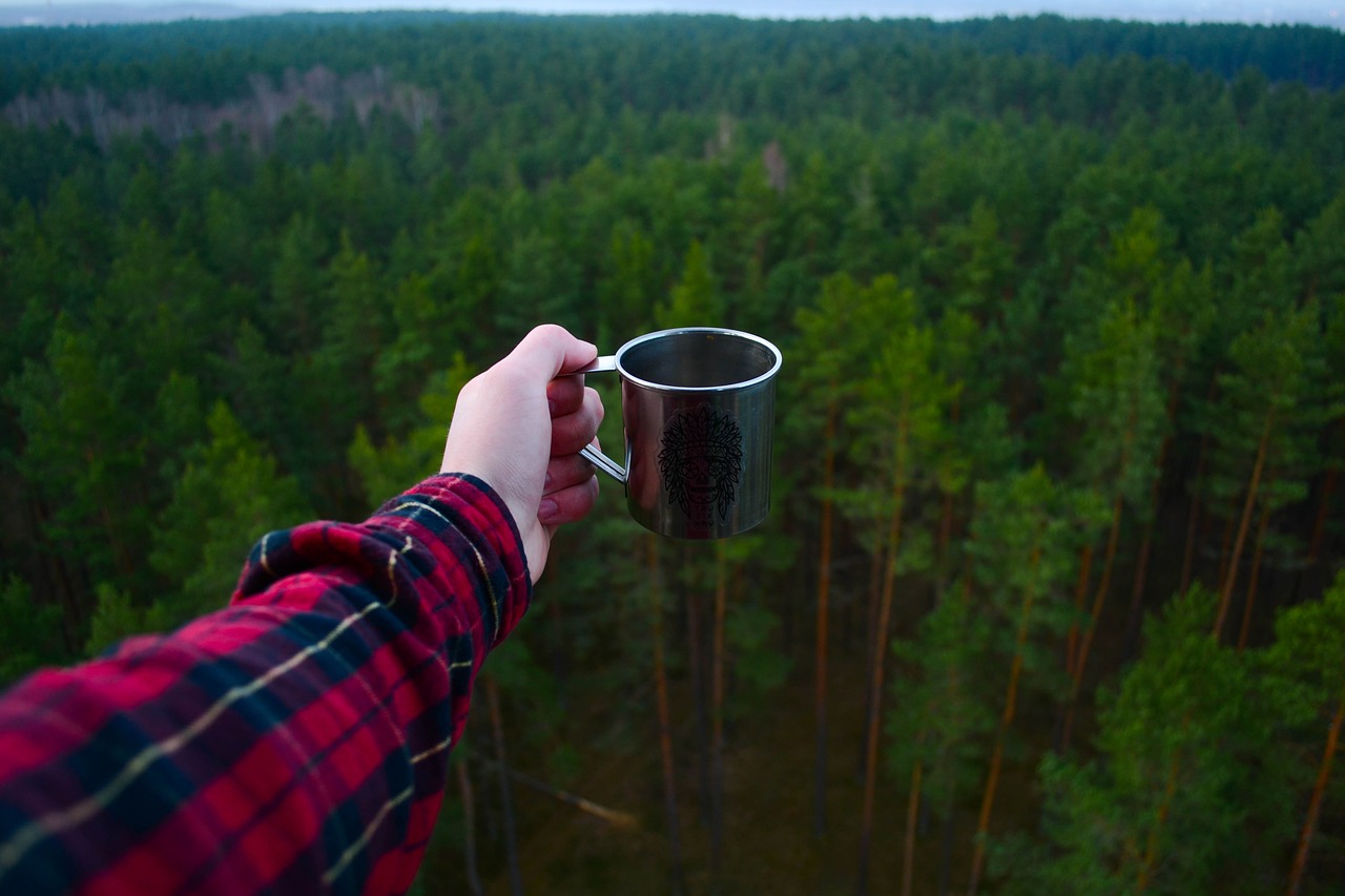 Image - adventure camping forest hiker