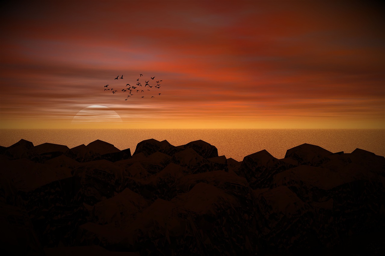 Image - sun sea birds romantic