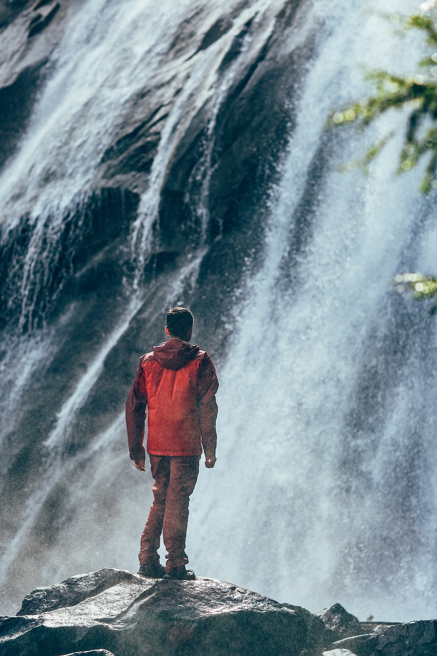 Image - man nature person standing water