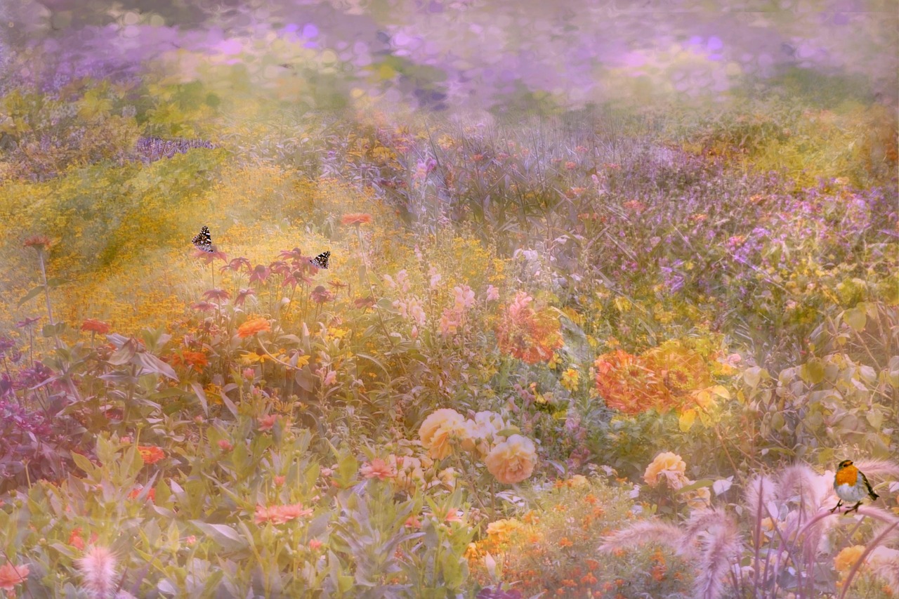 Image - background texture flower meadow