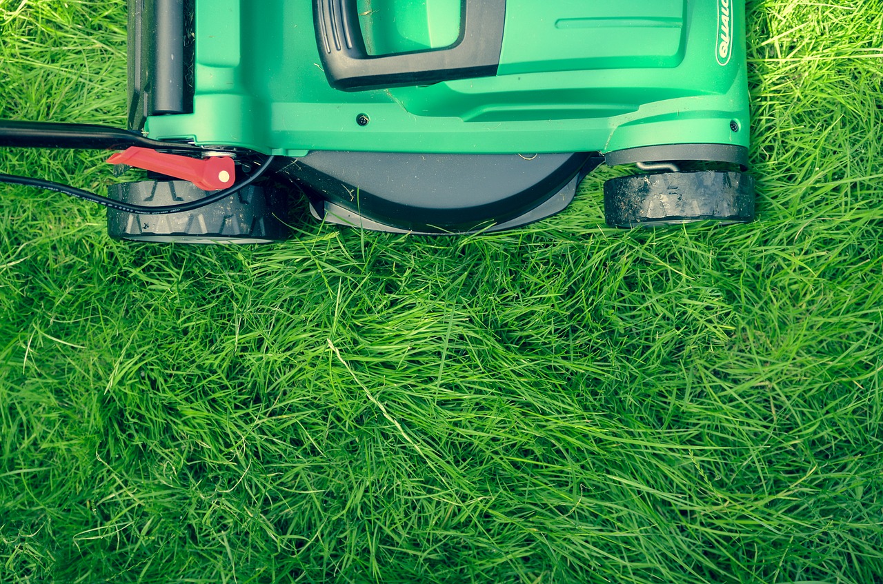 Image - grass green lawn lawn mower