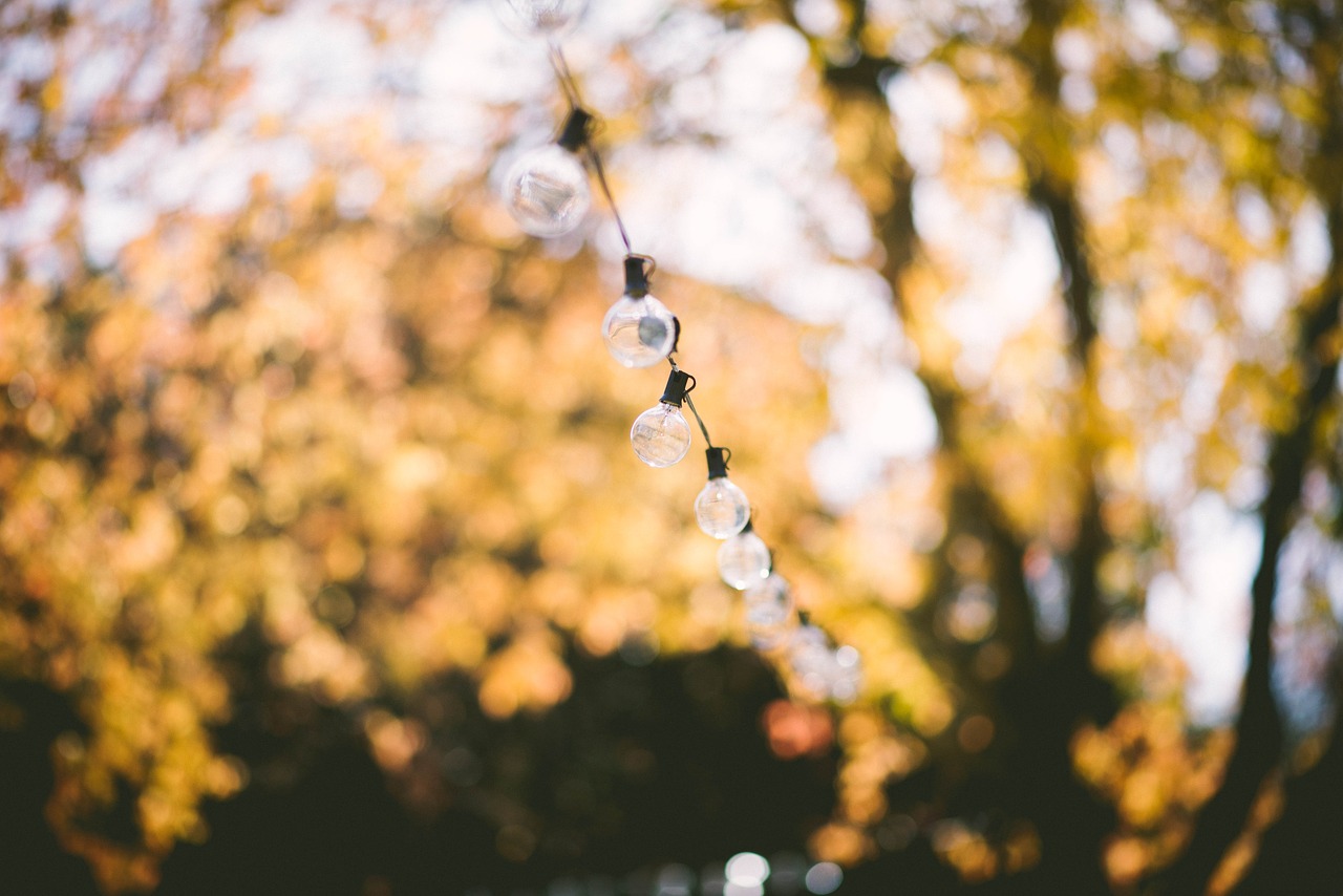 Image - depth of field light bulbs string