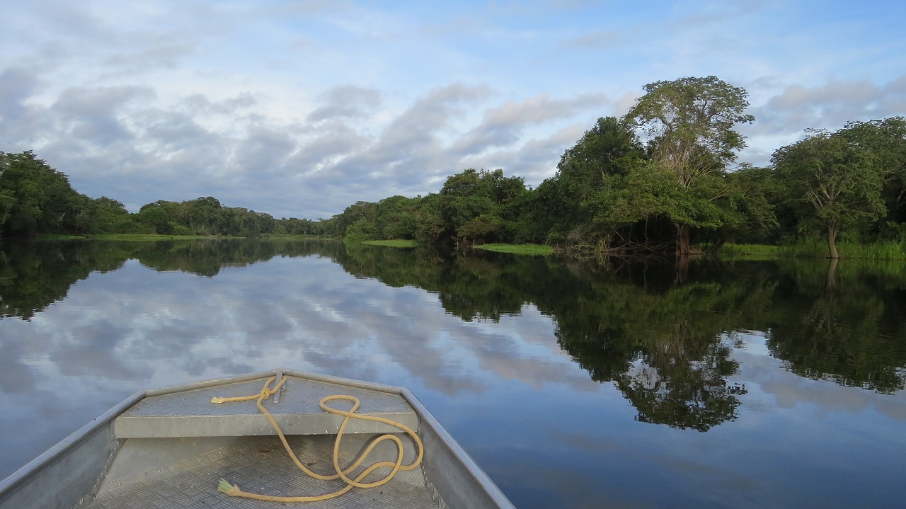 Image - rio guaporé amazon nature boat