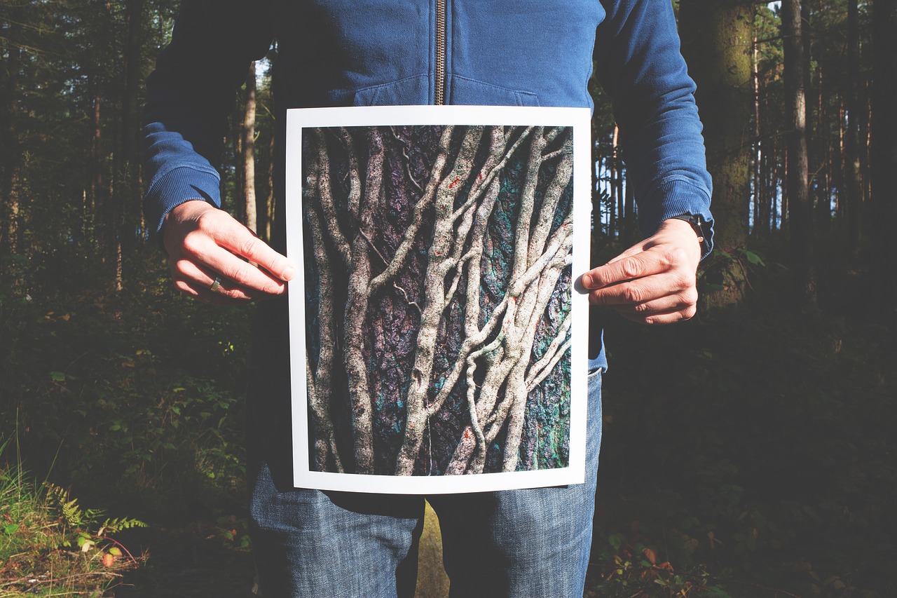 Image - forest hands held man person
