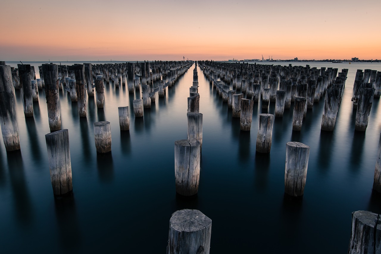 Image - logs nature pattern pillars shadow