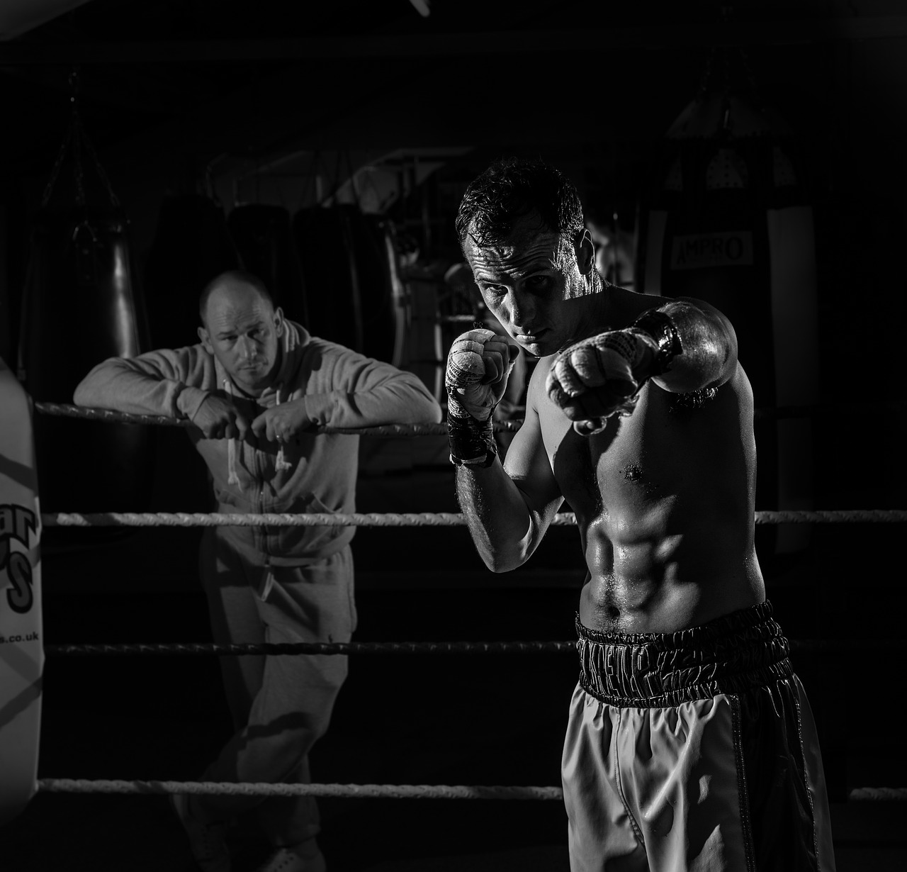 Image - boxing boxer fitness sport fight