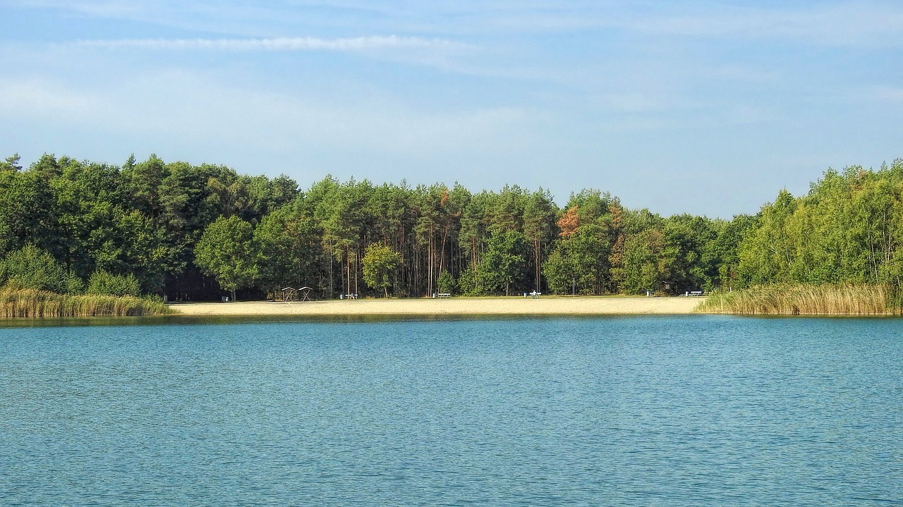 Image - landscape lake forest trees beach