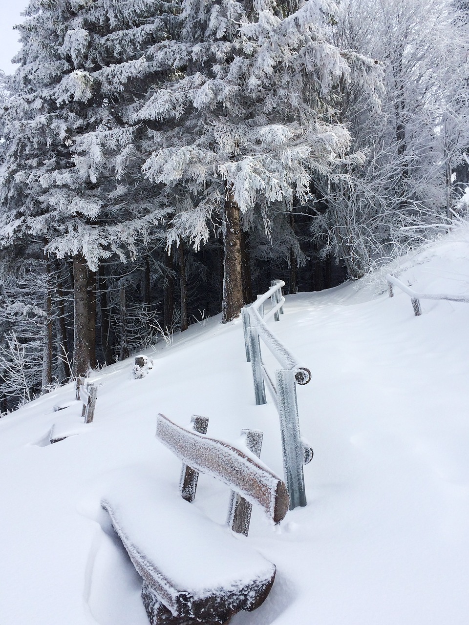 Image - freiburg schauinsland snow winter