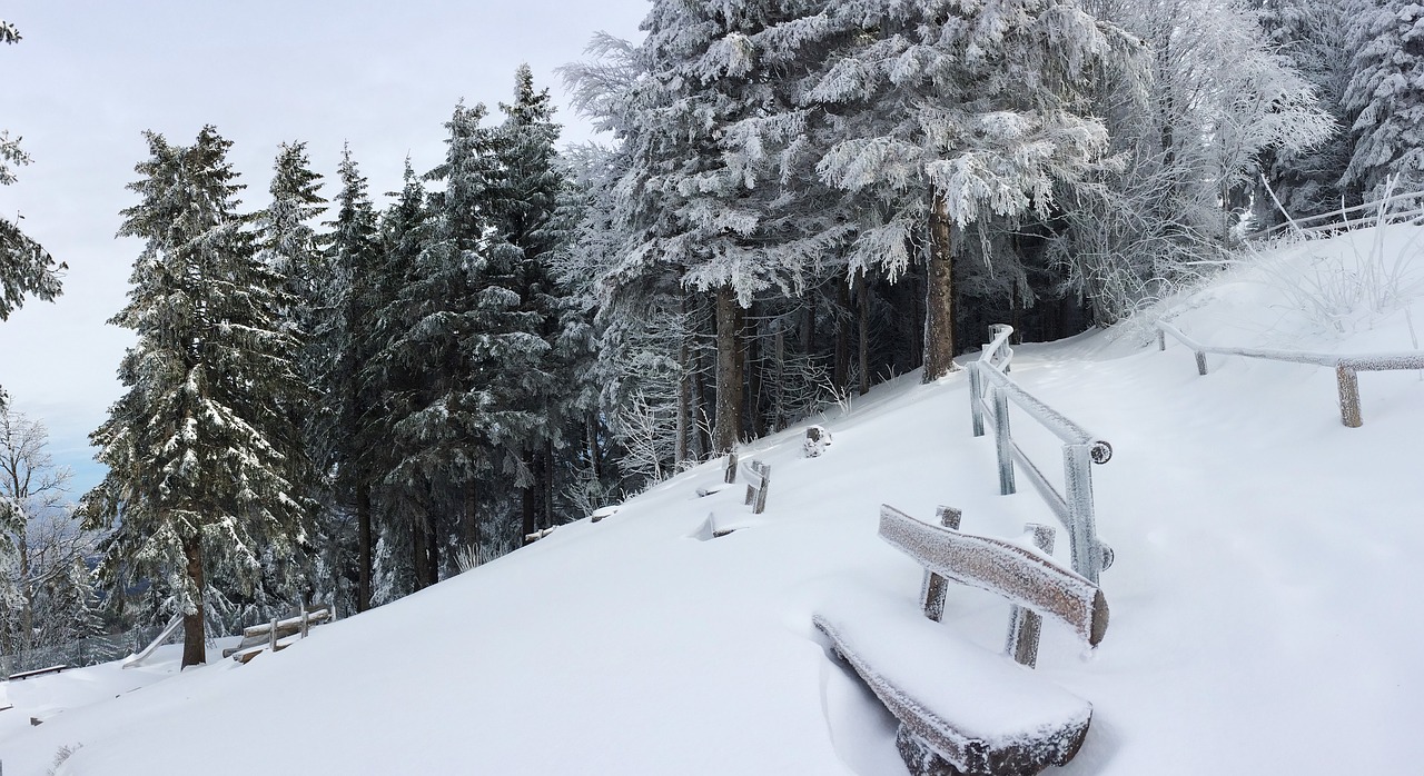 Image - freiburg schauinsland snow winter