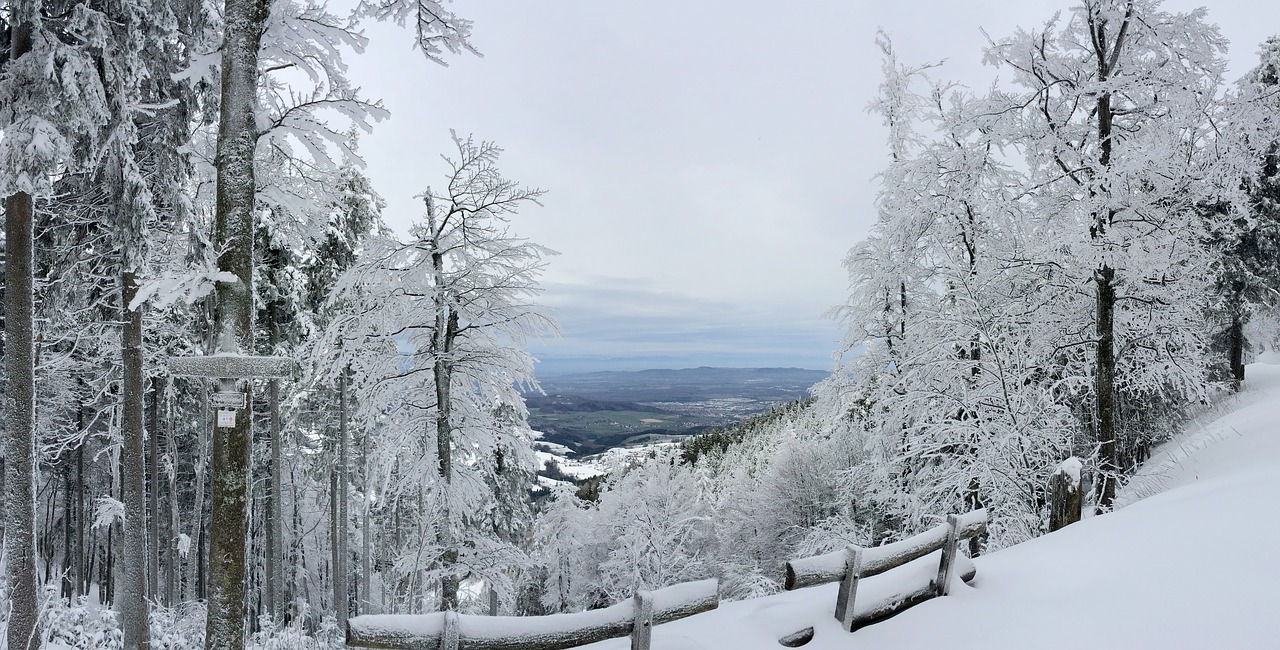 Image - freiburg schauinsland snow winter