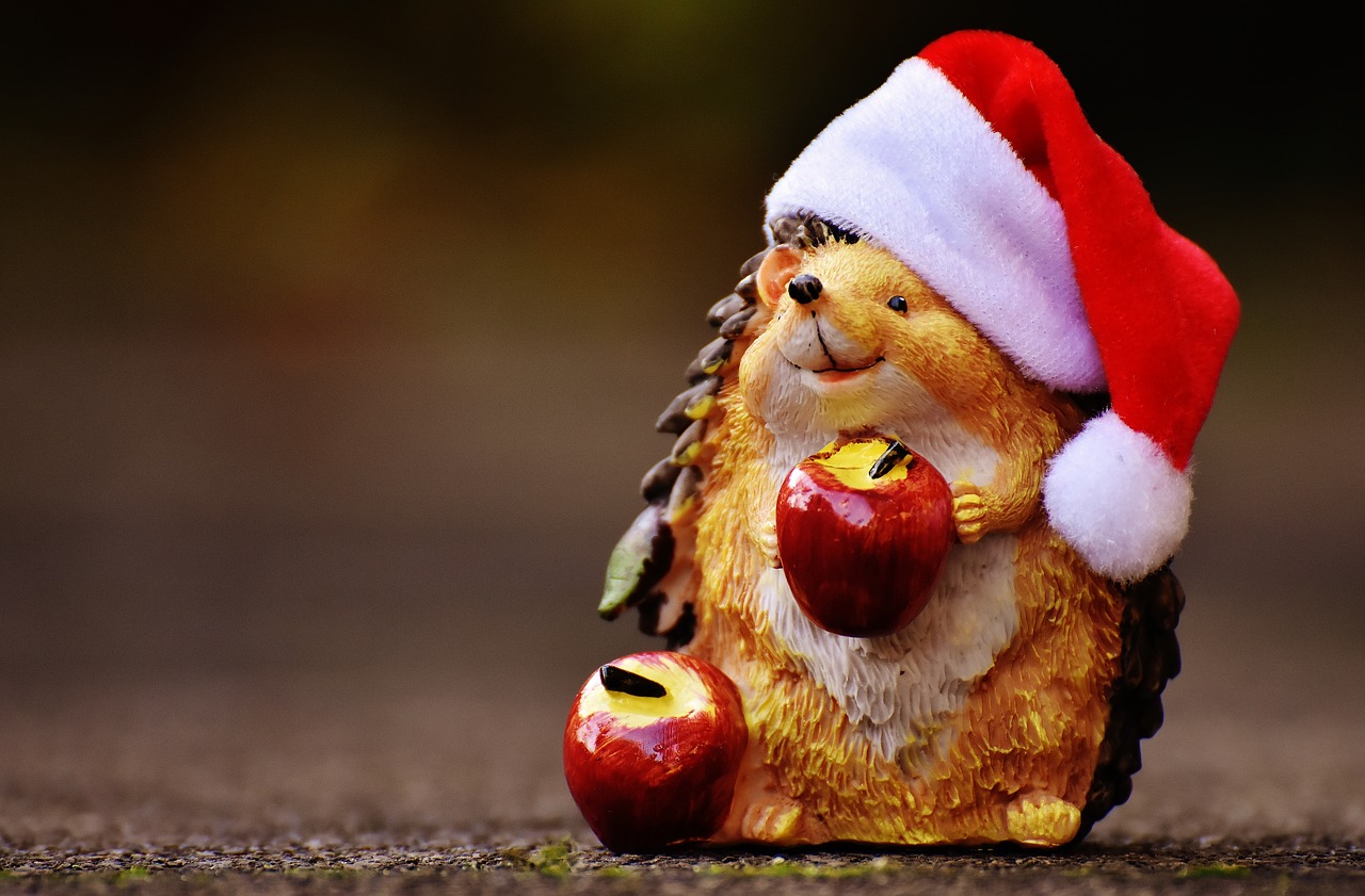 Image - hedgehog figure christmas santa hat